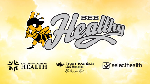 SaltLakeBees_2013-08-26