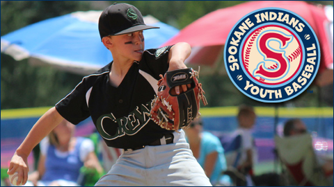 Pony, Babe Ruth and divisions of SYSA have combined to form Spokane Indians Youth Baseball.